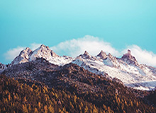 登录入口-残阵申花艰难一胜终破亚冠尴尬 蓝血人等了4243天